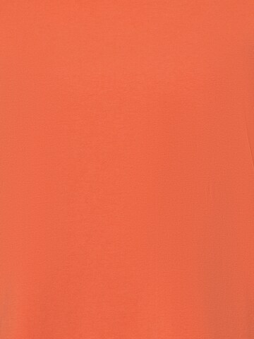 Franco Callegari T-Shirt in Orange