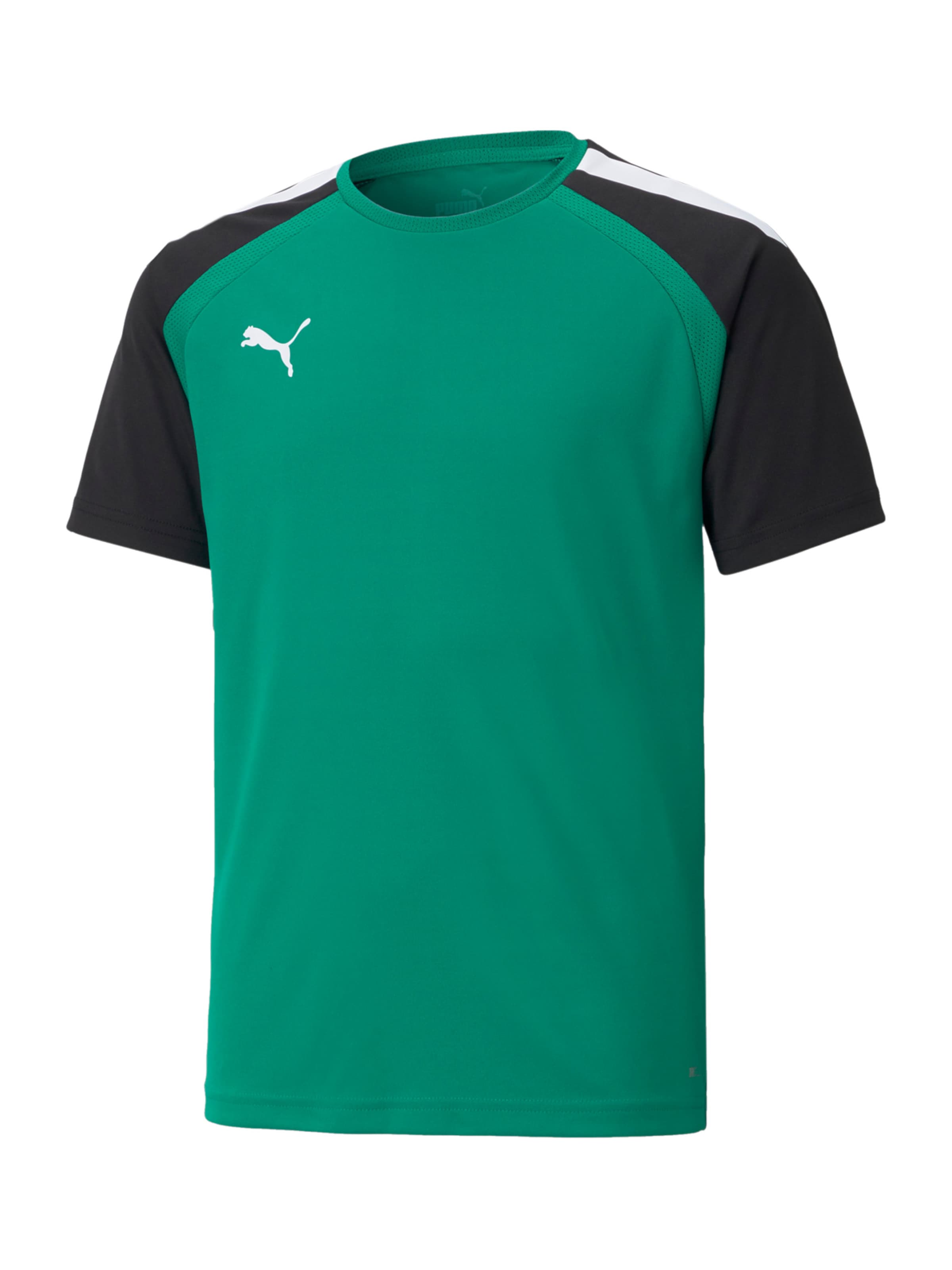 PUMA Performance Shirt 'Teampacer' in Green: front