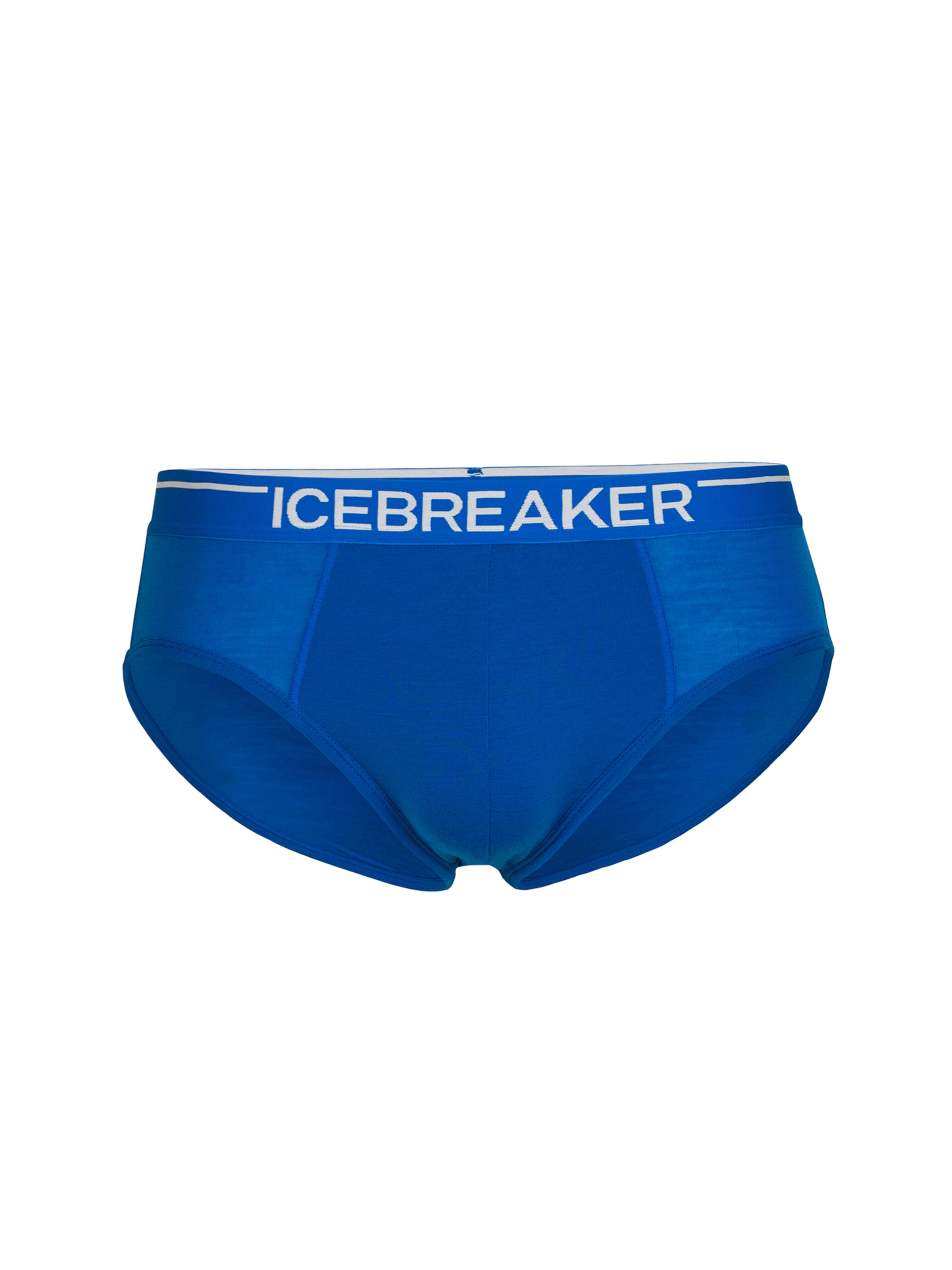 ICEBREAKER Sportondergoed 'ANATOMICA' in Blauw: voorkant