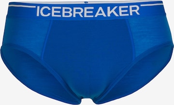 ICEBREAKER Sportunterhose 'ANATOMICA' in Blau: predná strana