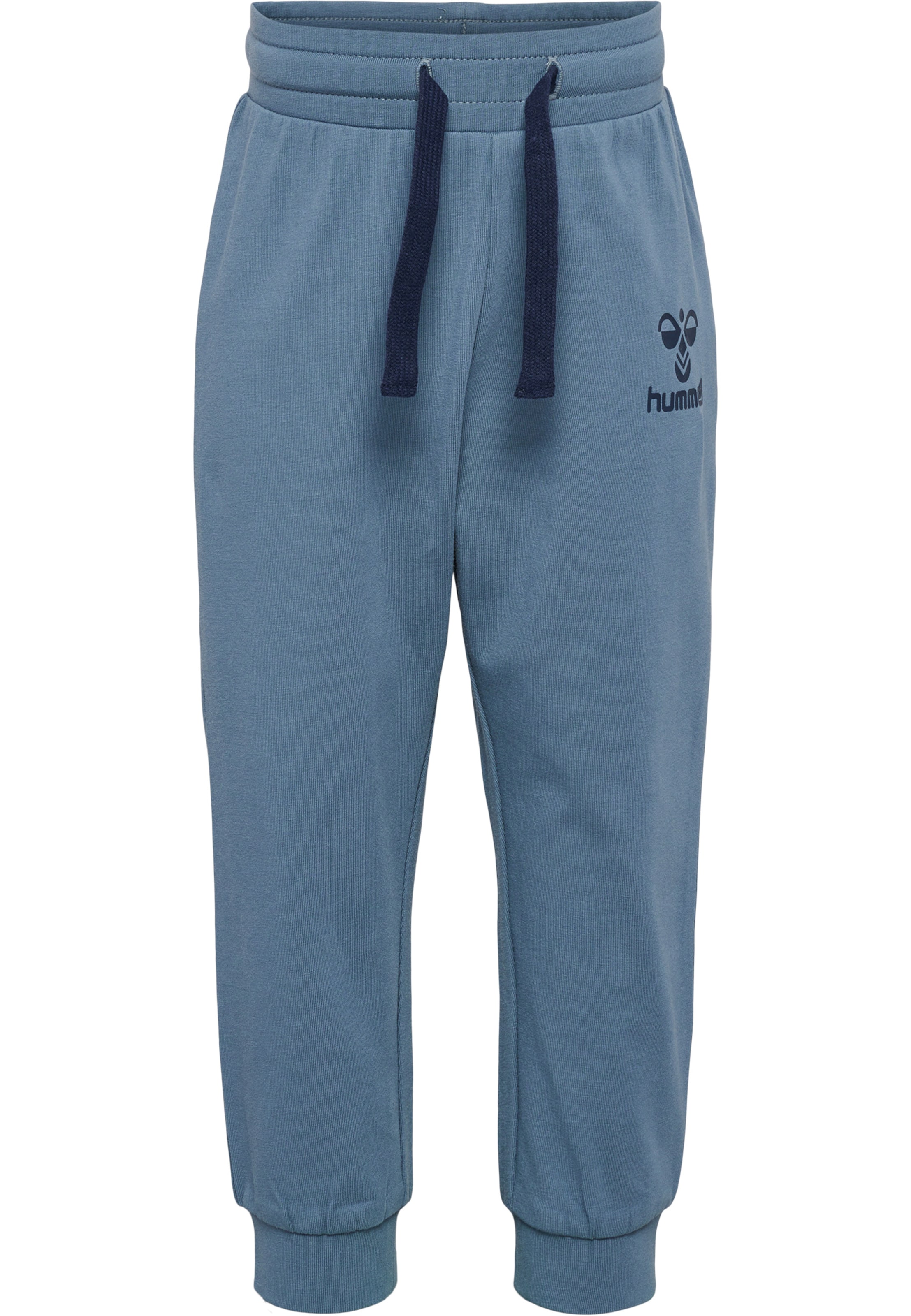 Regular Pantalon Hummel en bleu : devant