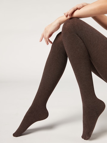 CALZEDONIA Strumpfhose 'thermo' in Braun: Vorderseite