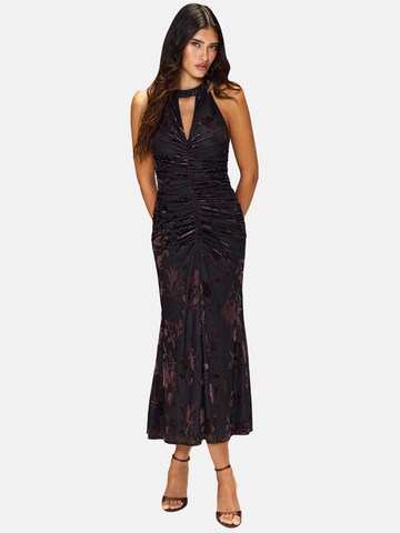 Lipsy Kleid in Lila: Vorderseite