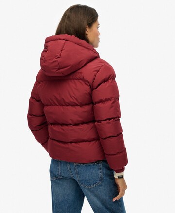 Superdry Tussenjas in Rood