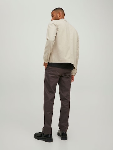 JACK & JONES regular Bukser 'Kane Pablo' i brun