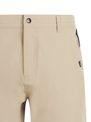 PROTEST Swimming shorts 'PRTRadcot' in Brown