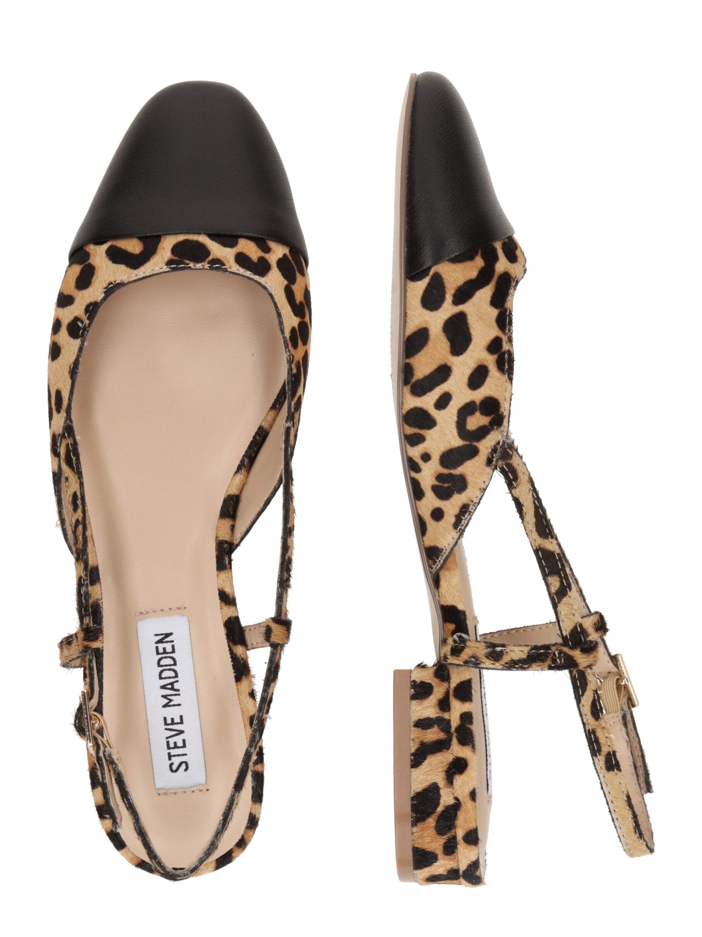 STEVE MADDEN Ballerinasko med rem 'Belinda-L' i blandingsfarvet