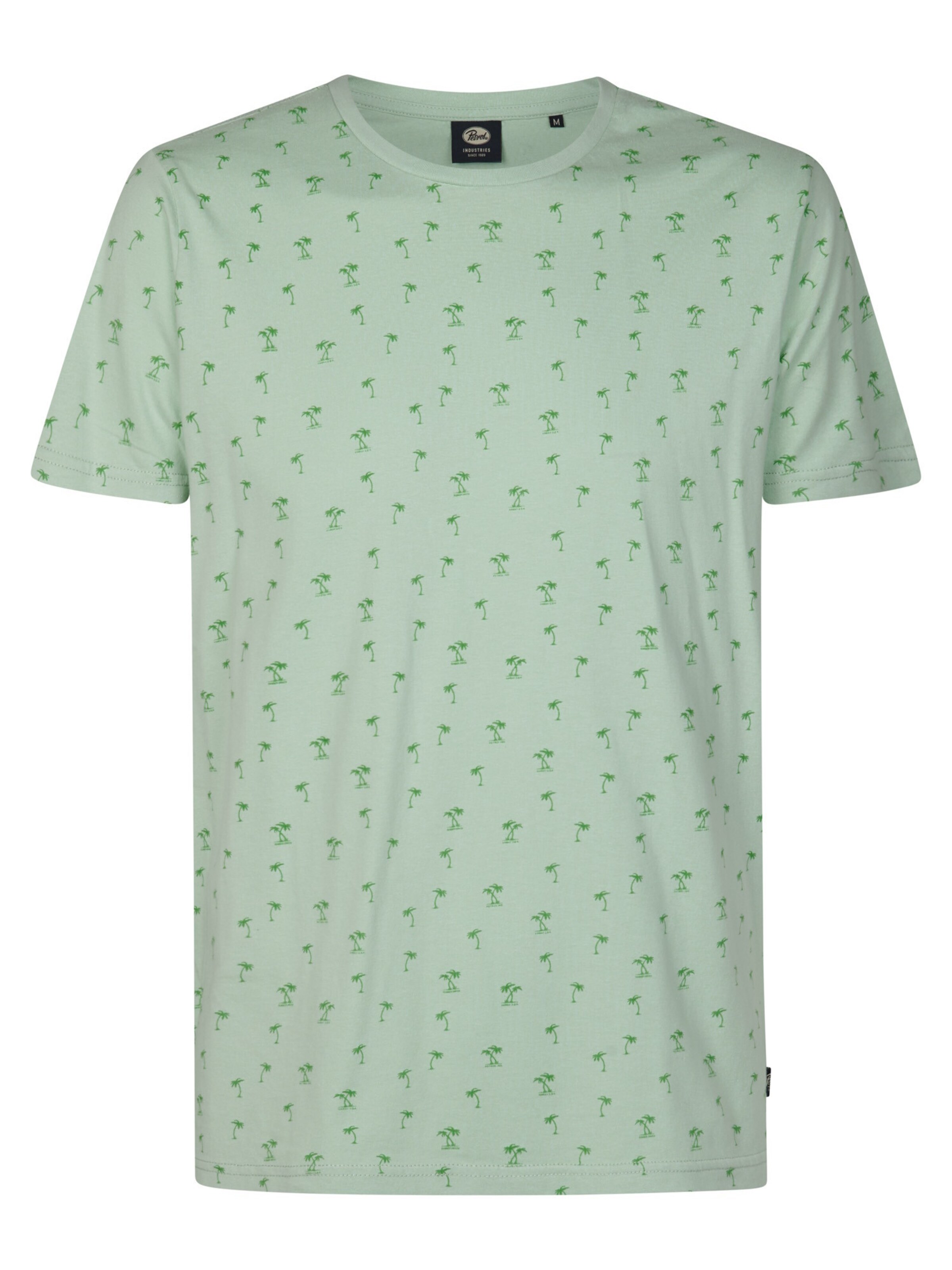 T-Shirt 'Serene' Petrol Industries en vert : devant