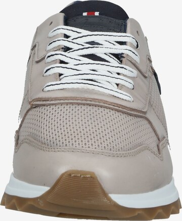 Baskets basses BULLBOXER en beige