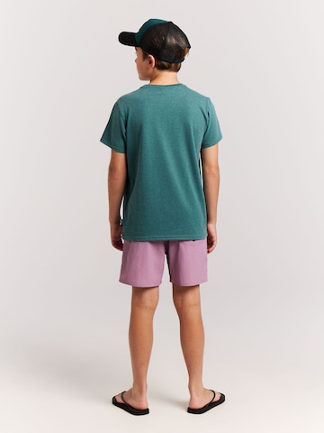 PROTEST Shirt 'PRTHunt JR' in Grün