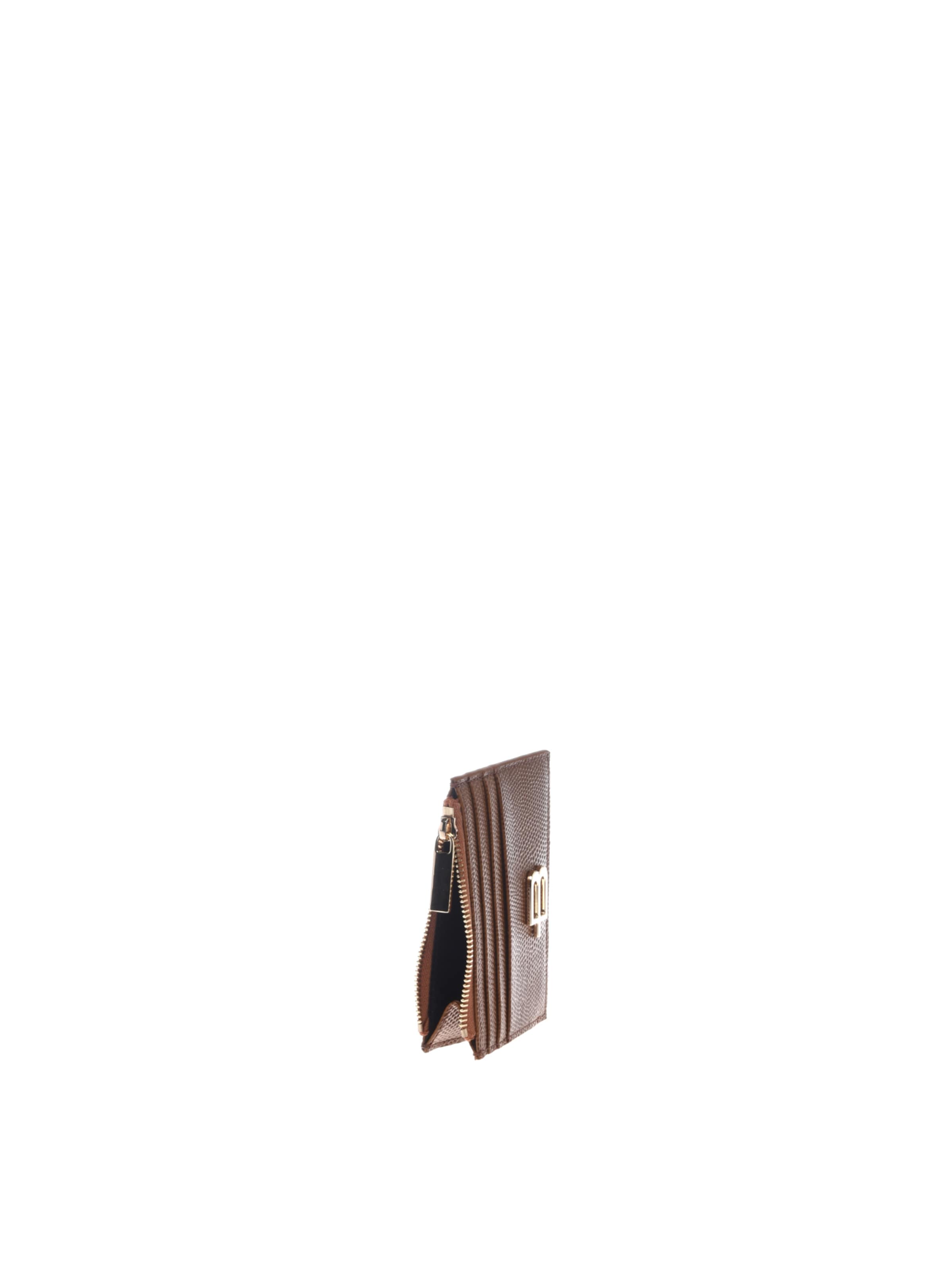 BALDININI Wallet in Brown