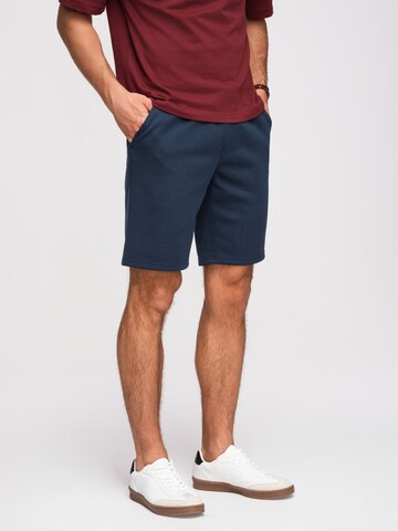 Ombre Regular Pants in Blue