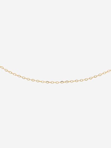 sweet deluxe Necklace 'Anda' in Gold
