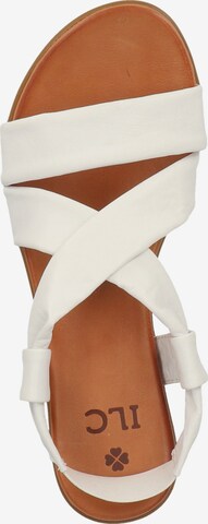 ILC Sandals in White