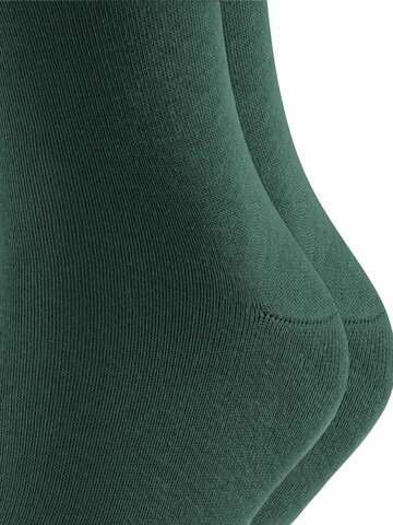FALKE Socks 'Happy 2-Pack' in Green