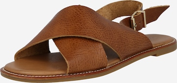 INUOVO Sandals in Brown: front