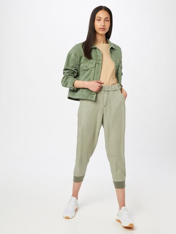 Dawn Tapered Pants in Green