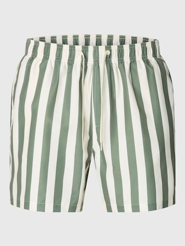 Pantaloncini da bagno di SELECTED in verde