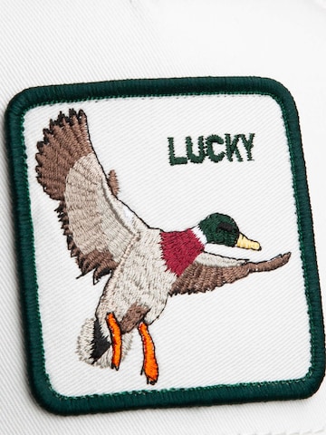 GOORIN Bros. Cap 'Duck' in Mixed colors