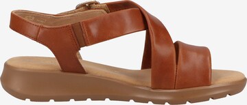GABOR Strap Sandals in Brown