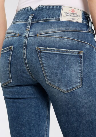 Herrlicher Boot cut Jeans in Blue