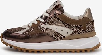 Sneaker bassa 'Noppi 46' di Floris van Bommel in marrone: frontale