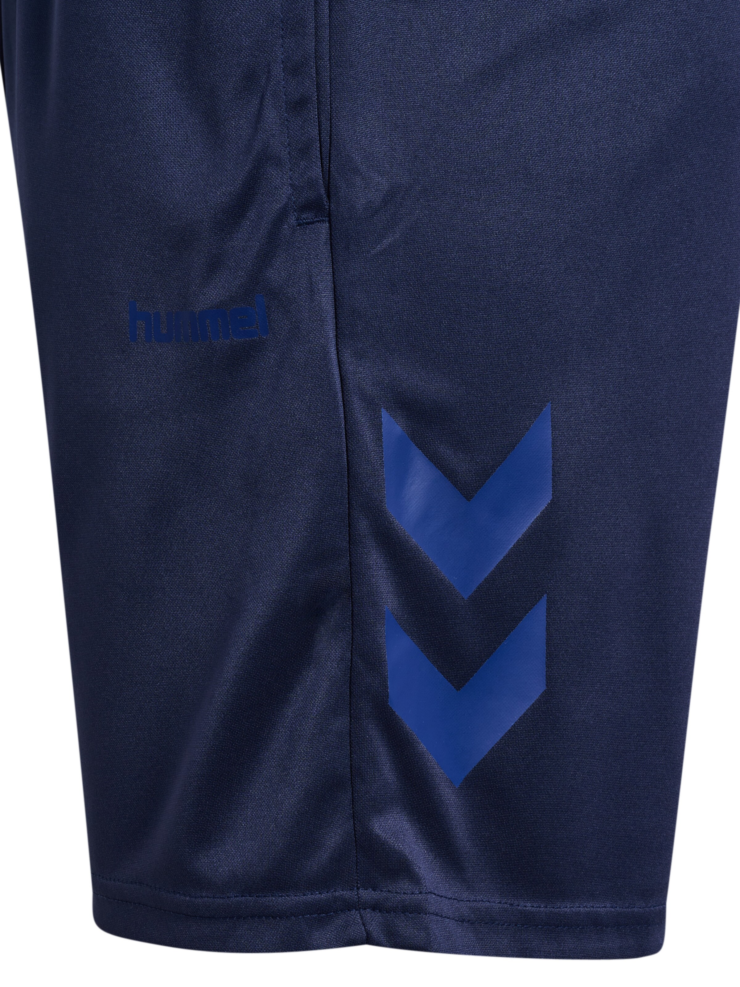 Hummel Regular Workout Pants 'MOVEMENT' in Blue