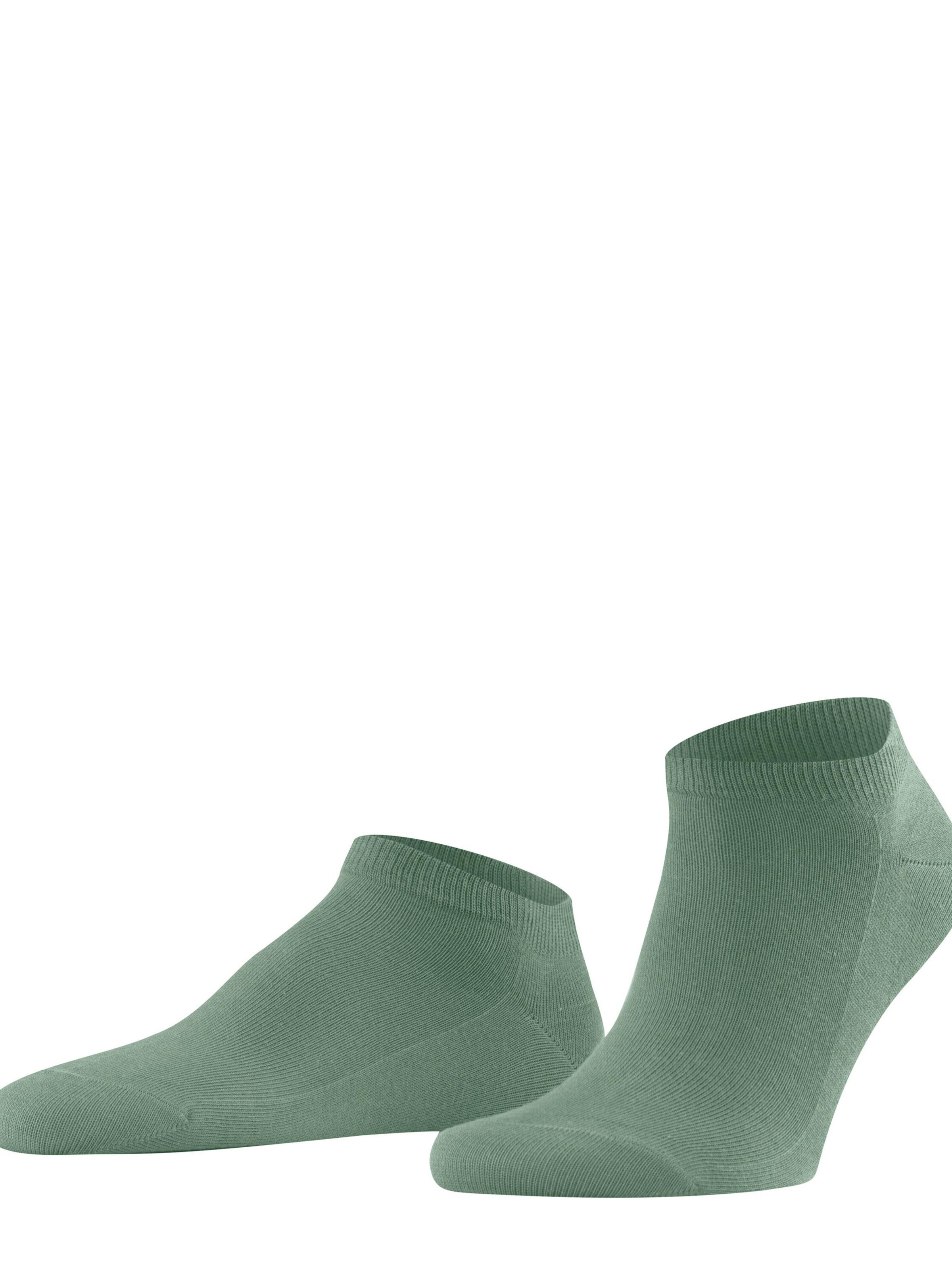 FALKE Socks 'Family' in Green: front