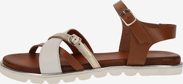 SPM Strap Sandals in Brown