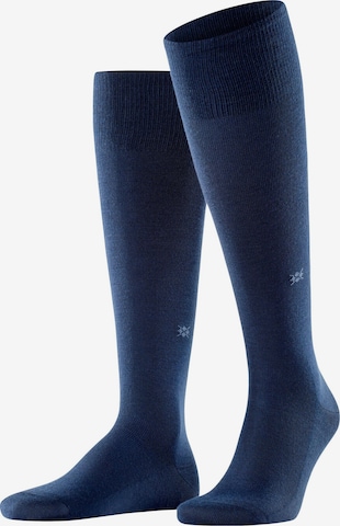 BURLINGTON Kniestrümpfe 'Leeds' in Blau: Vorderseite