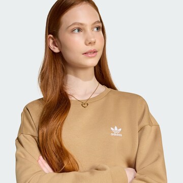 ADIDAS ORIGINALS Sweatshirt in Brown