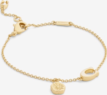 COACH Armband in Gold: Vorderseite