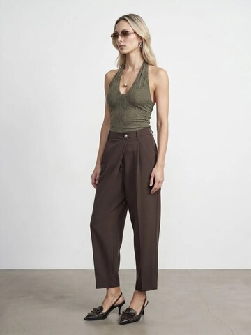 Dilvin Regular Pants in Brown: front