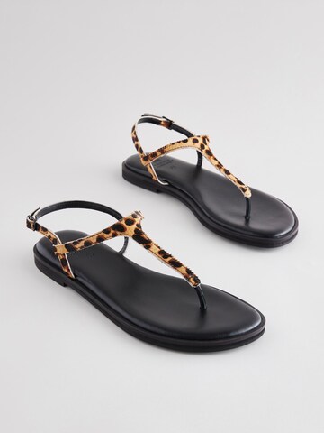 Infradito di Next in marrone