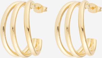 Singularu Earrings in Gold: front