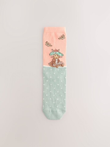 Next Socks in Beige