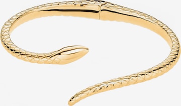 Apple of Eden Bracelet in Gold: front