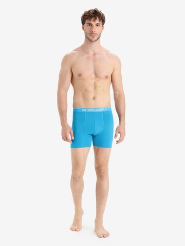 ICEBREAKER Sportunterhose 'Anatomica' in Blau