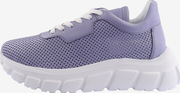 D.MoRo Shoes Sneakers in Purple