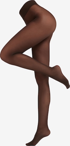 CALZEDONIA Tights in Brown: front