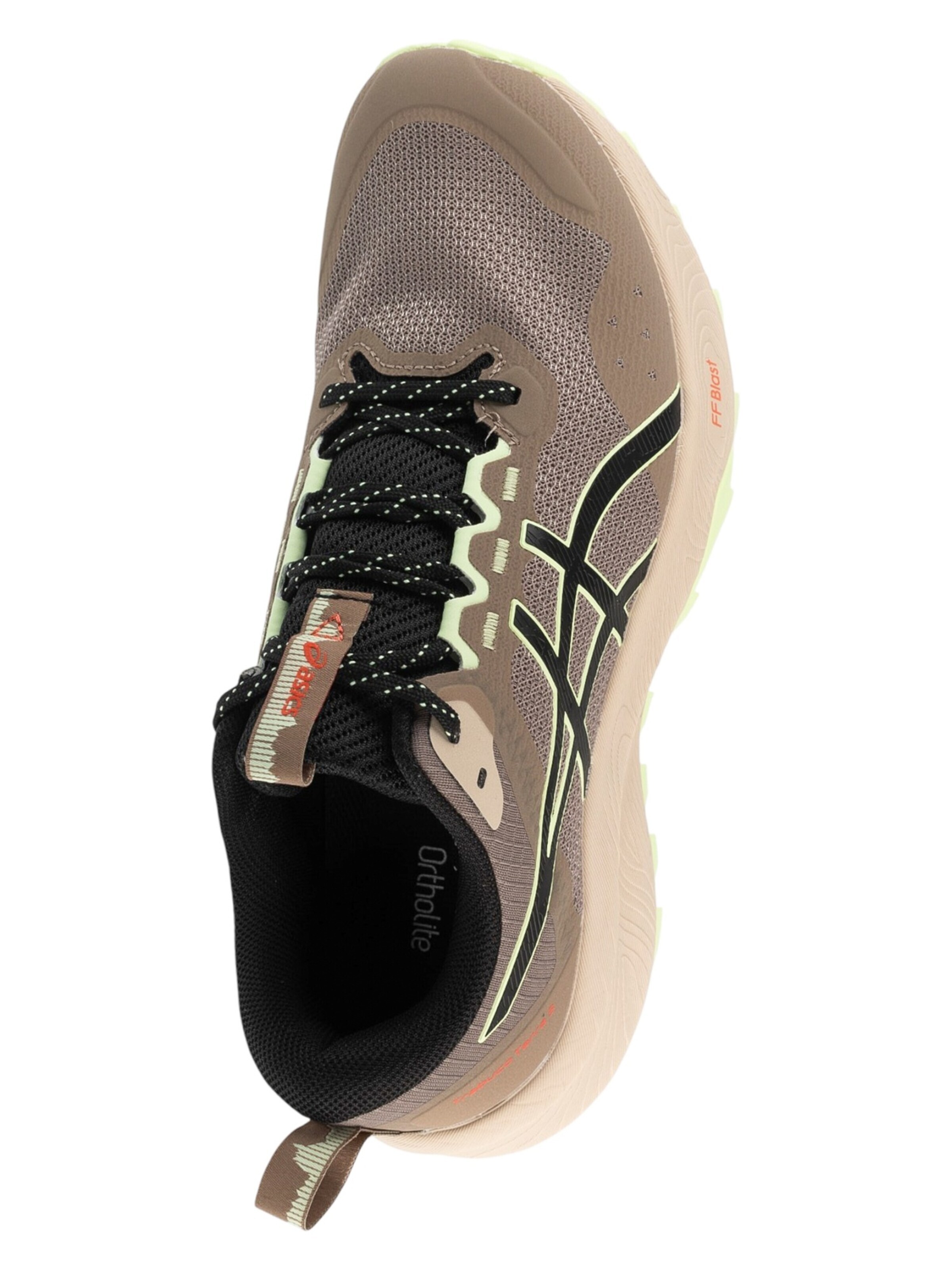 ASICS Laufschuh 'ASICS Gel-Trabuco Terra 3'‌ in Braun