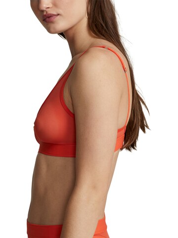 Polo Ralph Lauren Triangle Bra ' UNLINED PLUNGE BRA ' in Coral