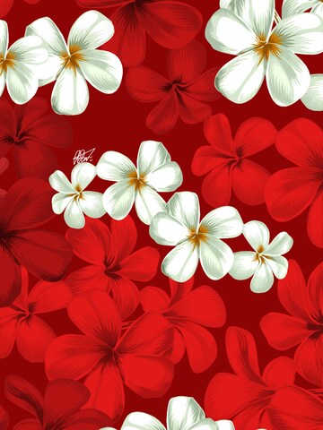 Hawaiihemdshop.de Regularny krój Koszula 'Hawaiihemd "Classic Red"' w kolorze czerwony