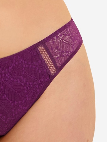 Simone Perele Panty 'Cométe' in Purple