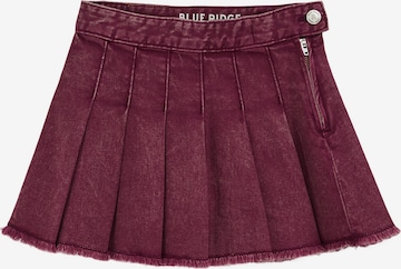 purpurinė WE Fashion Sijonas: priekis