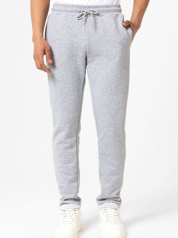 Williot - Tapered Calças 'Esteban' em cinzento: frente