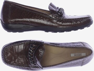 GEOX Flats & Loafers in 36 in Brown: front