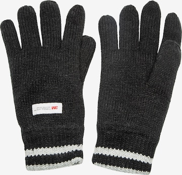 Whistler Full Finger Gloves 'Hancok' in Mixed colors: front