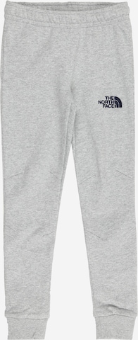THE NORTH FACE Tapered Pants in Grey: front