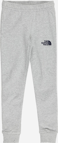 THE NORTH FACE - Tapered Pantalón en gris: frente